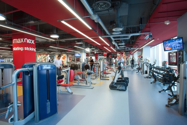 Бизнес-план тренажерного зала: пример с расчетами